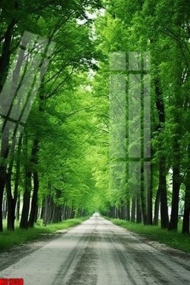 File gốc File tranh gốc in tranh tường nền tổng hợp H31358 (in 3D) cho trang trí