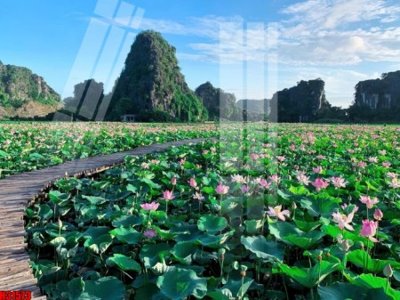 File gốc File tranh gốc in tranh tường nền tổng hợp H31573 (in tráng gương) sang trọng