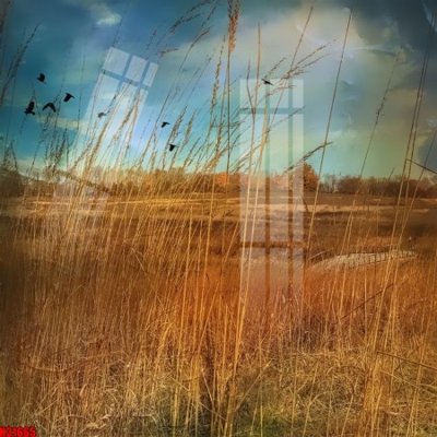 File in mica File tranh gốc in tranh tường nền tổng hợp H31665 (bản gốc) làm vách ngăn