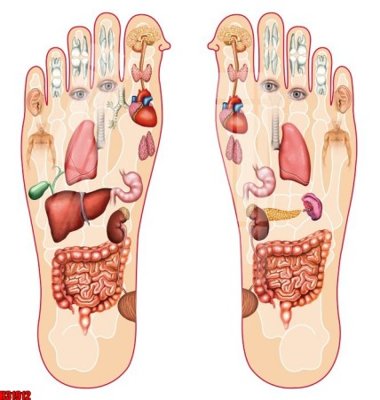 File gốc File tranh gốc in tranh tường nền tổng hợp H31912 (phiên bản chuẩn) để in ấn