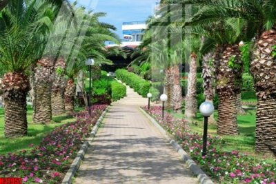 File gốc File tranh gốc in tranh tường nền tổng hợp H31951 (in tráng gương) nghệ thuật