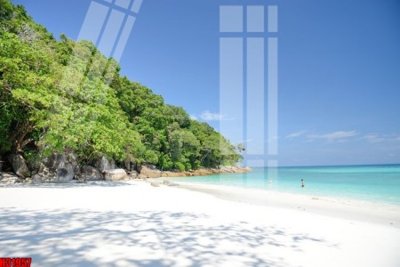 Tệp tin gốc File tranh gốc in tranh tường nền tổng hợp H31957 (chất lượng) File tranh gốc in tranh tường nền tổng hợp H31957