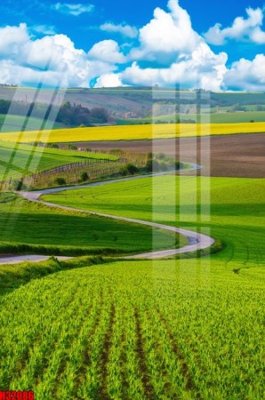 File in trần File tranh gốc in tranh tường nền tổng hợp H32086 (file gốc) xuyên sáng