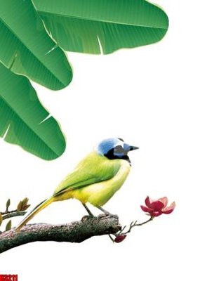 Chi tiết file ảnh File tranh decor tranh bộ treo tường tổng hợp H3211 sắc nét