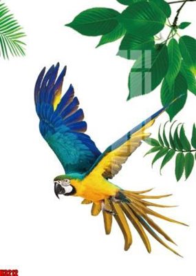 File tranh gốc File tranh decor tranh bộ treo tường tổng hợp H3212 (sắc nét từng chi tiết)