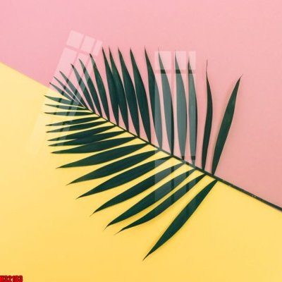 File gốc File tranh gốc in tranh tường nền tổng hợp H32183 (in mica) làm quà tặng