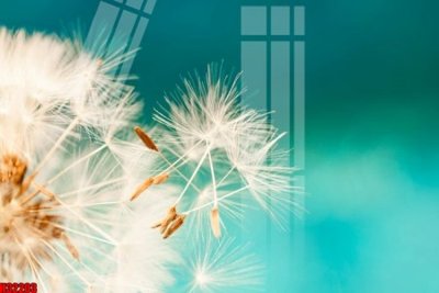 File gốc in ấn File tranh gốc in tranh tường nền tổng hợp H32203 chất lượng vượt trội