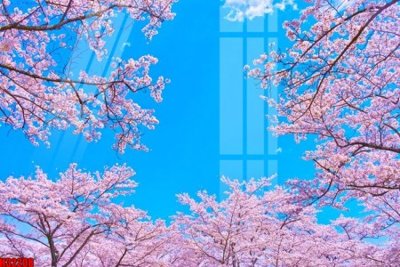 Ảnh gốc File tranh gốc in tranh tường nền tổng hợp H32208 (độ nét cao) in tráng gương