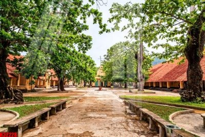 File tranh File tranh gốc in tranh tường nền tổng hợp H32228 (gốc) in film