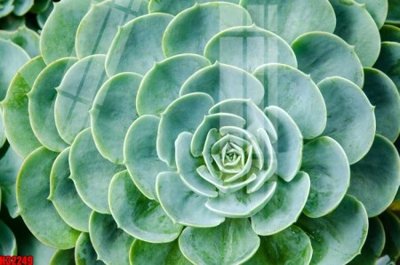 Tải về file gốc File tranh gốc in tranh tường nền tổng hợp H32249 (chuẩn in ấn)