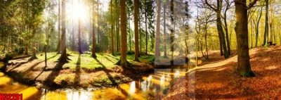 Mua file ảnh gốc File tranh gốc in tranh tường nền tổng hợp H32281 (chất lượng cao)