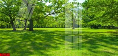 File tranh File tranh gốc in tranh tường nền tổng hợp H32430 (bản gốc) treo tường