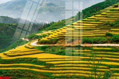 File gốc File tranh gốc in tranh tường nền tổng hợp H32434 (in mica) làm bảng hiệu