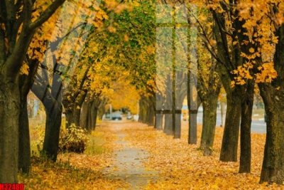 File PSD File tranh gốc in tranh tường nền tổng hợp H32480 (nguyên gốc) chất lượng cao