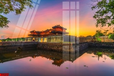 File tranh File tranh gốc in tranh tường nền tổng hợp H32727 (gốc) in film