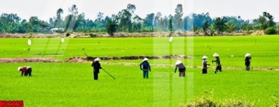 File tranh in tráng gương File tranh gốc in tranh tường nền tổng hợp H32825 (siêu nét)