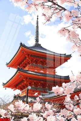 File ảnh File tranh gốc in tranh tường nền tổng hợp H32837 (gốc) in standee