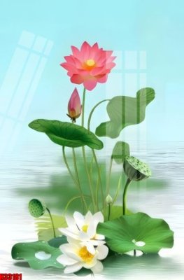 File gốc File tranh gốc in tranh tường nền tổng hợp H33181 (ảnh chi tiết) để in trần