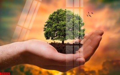 File gốc File tranh gốc in tranh tường nền tổng hợp H33324 (in mica) làm quà tặng