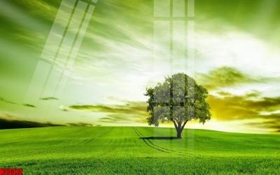 Tải file File tranh gốc in tranh tường nền tổng hợp H33372 (gốc) làm file thiết kế