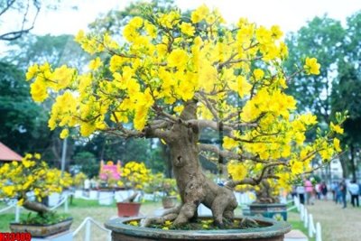 Download file File tranh gốc in tranh tường nền tổng hợp H33409 (gốc) in mica đèn LED