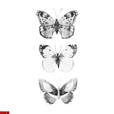 File tranh File tranh gốc in tranh tường nền tổng hợp H33615 (file gốc) chuẩn màu in