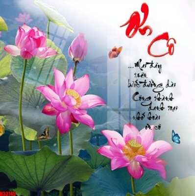 Download file File tranh gốc in tranh tường nền tổng hợp H33745 (gốc) in mica ốp bếp