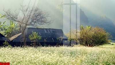 File tranh gốc File tranh gốc in tranh tường nền tổng hợp H34040 (bản quyền) Filetranh.com