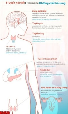 Tải file File tranh gốc in tranh tường nền tổng hợp H34638 (gốc) chủ đề hoa sen