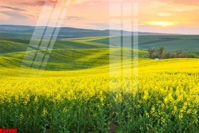 Mua file gốc File tranh gốc in tranh tường nền tổng hợp H34990 (PSD) tại Filetranh.com