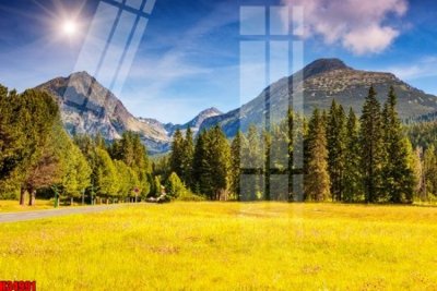 File tranh File tranh gốc in tranh tường nền tổng hợp H34991 (gốc) phong cách tối giản