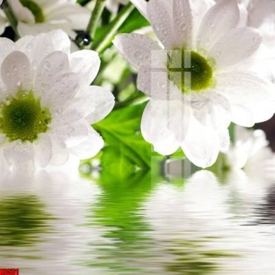 File gốc File tranh decor tranh bộ treo tường tổng hợp H3531 (in lụa) cao cấp