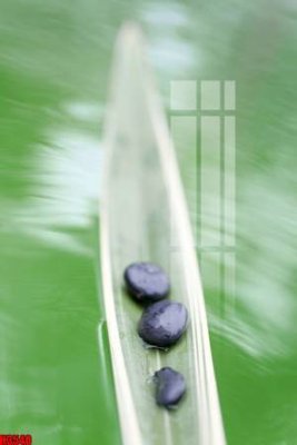 File gốc File tranh decor tranh bộ treo tường tổng hợp H3540 (ảnh rõ nét) để in