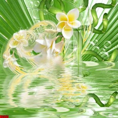 Tệp tin gốc File tranh decor tranh bộ treo tường tổng hợp H3555 (chất lượng) File tranh decor tranh bộ treo tường tổng hợp H3555