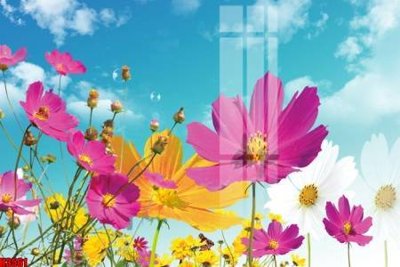 Download file gốc File tranh decor tranh bộ treo tường tổng hợp H3561 (in lụa) cao cấp