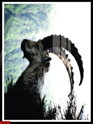 File in lụa File tranh gốc in tranh tường nền tổng hợp H35795 (hoa văn) File tranh gốc in tranh tường nền tổng hợp H35795