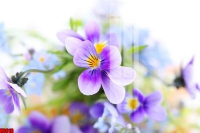 Tải file File tranh decor tranh bộ treo tường tổng hợp H3618 (PSD) cho in tranh 3D