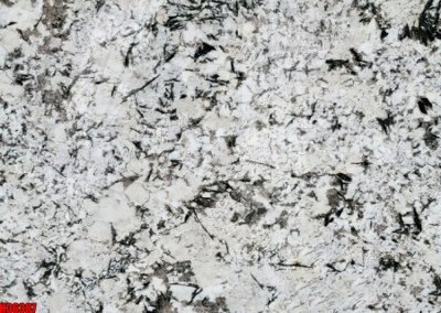 File tranh File tranh gốc in tranh tường nền tổng hợp H36387 (gốc) chủ đề động vật