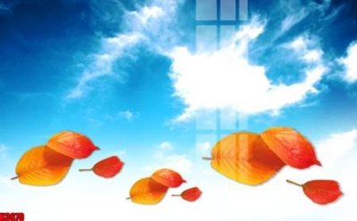 File PSD File tranh decor tranh bộ treo tường tổng hợp H3670 (bản gốc) đã tách nền