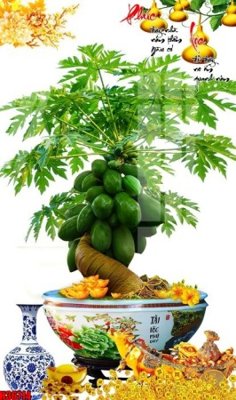 File gốc File tranh gốc in tranh tường nền tổng hợp H36714 (in tráng gương) hiện đại