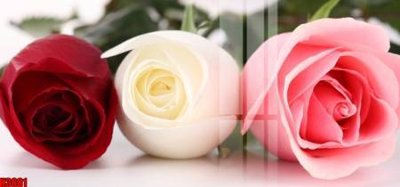 File in trần File tranh decor tranh bộ treo tường tổng hợp H3681 (file gốc) phong thủy