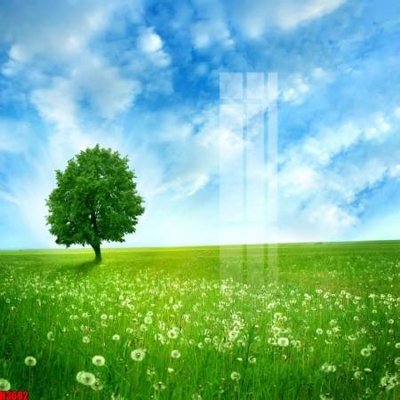 File tranh File tranh decor tranh bộ treo tường tổng hợp H3682 (bản gốc) treo tường