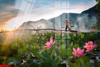 File gốc File tranh gốc in tranh tường nền tổng hợp H36900 (in lụa) trang trí tường