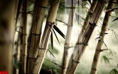 File tranh File tranh decor tranh bộ treo tường tổng hợp H3692 (bản gốc) in lụa 3D