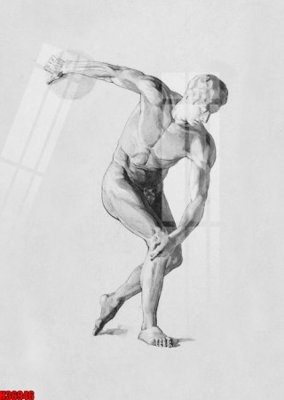 File ảnh File tranh gốc in tranh tường nền tổng hợp H36946 (gốc) in Hiflex