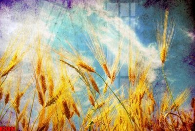 File gốc in tráng gương File tranh gốc in tranh tường nền tổng hợp H37091 chi tiết