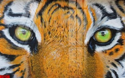 File tranh File tranh gốc in tranh tường nền tổng hợp H37138 (gốc) in film