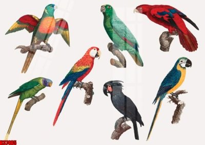 File tranh File tranh gốc in tranh tường nền tổng hợp H37485 (ảnh gốc) in trần nhà