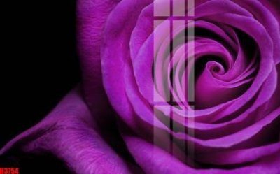 File tranh trang trí File tranh decor tranh bộ treo tường tổng hợp H3754 (tải file gốc)