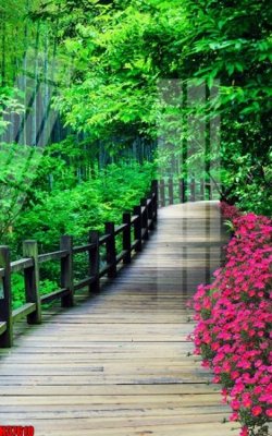 Mua file ảnh gốc File tranh gốc in tranh tường nền tổng hợp H37610 (chất lượng cao)